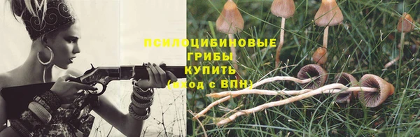 экстази Бородино